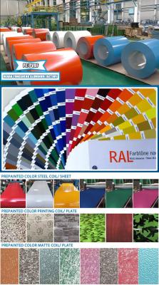 China Painted PVDF Color Coated PE Aluminum Coil 1060 3003 3004 5052 for sale