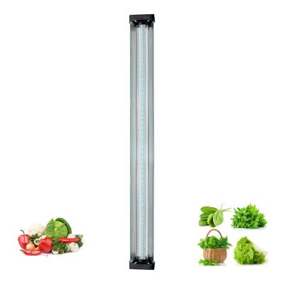 China Dimmable Full Spectrum Grow Lights For Indoor Plants Veg Flower for sale
