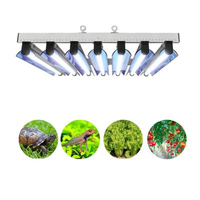 China 3FT T5 Fluorescent Grow Light for sale