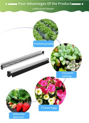 China Foldable 1.8μMol/J 8W Hydroponics Led Grow Lights For Vegetable Seedlings for sale