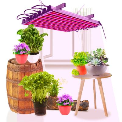 China Oem Led Grow Lights Customized Garden Indoor Herb Garden Planters Hydroponic Growing Systems Kitchen for sale