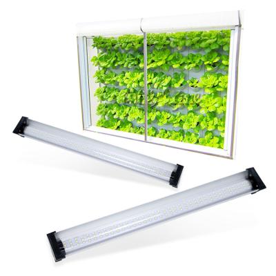 China Small Portable Low Heat 24W Full Spectrum LED Grow Lights Greenhouse Indoor for sale
