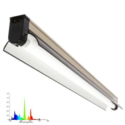 China IP44 T5 Fluorescent Grow Light for sale