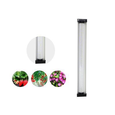 China 135lm/W Horticulture Led Grow Lights for sale