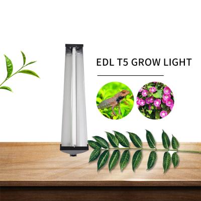 China Garden Cob Led Grow Lights , Indoor Farming Led Lights For Microgreens Tray for sale