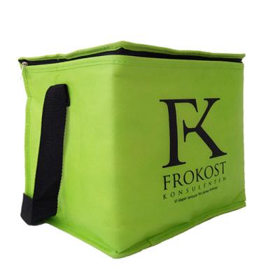 China Non Woven 80gsm 120x2.5cm 2mm EPE Insulated Cooler Bag for sale