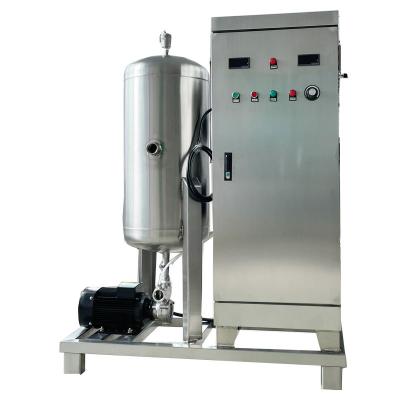 China 100g/h Water Disinfection Equipment , Ozone Water Treatment Machine for sale