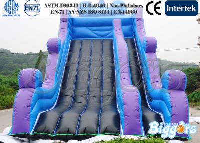 China 18oz PVC Outdoor Playgound Kids Inflatable Slide , Water-proof / Puncture-proof for sale