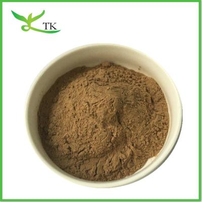 China Green Coffee Bean Extract Powder 50% Chlorogenic Acids Powder Green Coffee Powder for sale