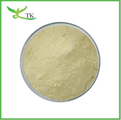 China Natural Vegan Protein Powder Food Grade Pea Protein Powder Pea Protein Isolate Powder for sale
