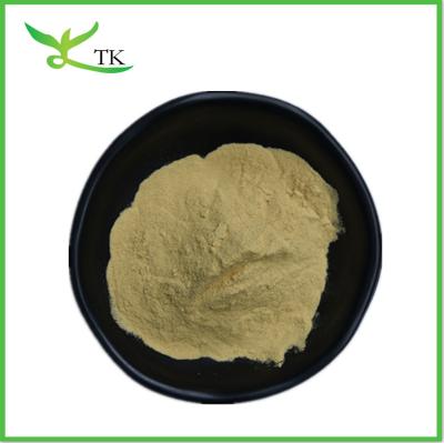 China Supply Houttuynia Cordata Extract Powder Houttuynia Cordata Powder for sale