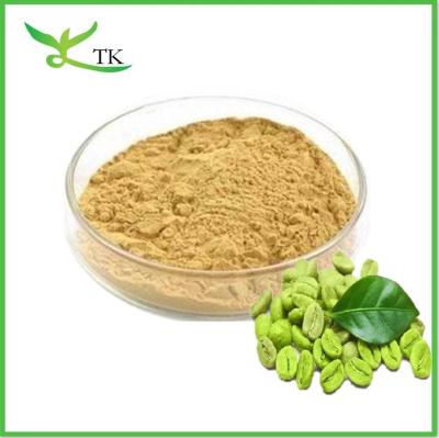 中国 クロロゲン酸 50% グリーンコーヒー豆抽出粉末 カプセル グリーンコーヒー粉末 減量 販売のため