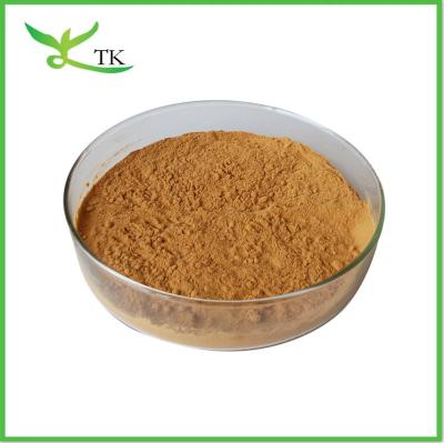 China White Willow Bark Extract Powder Salicin 15% 50% 98% Salicin Salix Alba Extract for sale