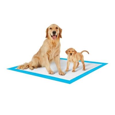 China Soft Nowoven Indoor Outdoor Disposable Pet Pads 100% Cotton for sale
