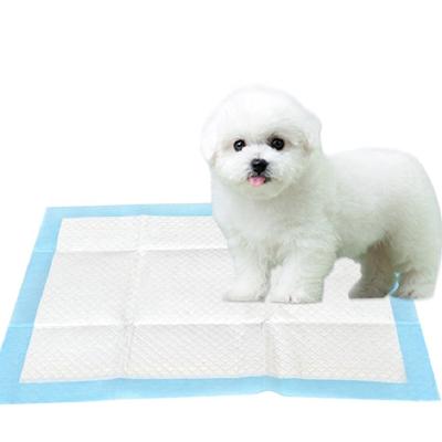 China Disposable Absorbent Indoor Pet Urine Pad Puppy Training Dog Urine Pad for sale
