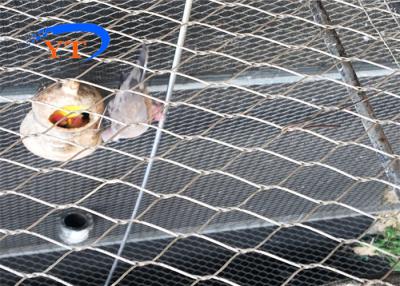 Chine le grillage X de zoo tissé par 40x40mm tendent les cages animales d'acier inoxydable de 1.2mm à vendre