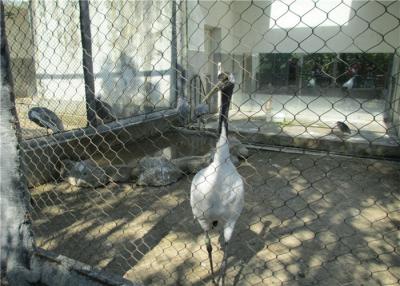 中国 AISI 304の動物園のための特注の鳥の飼鳥園のエンクロージャのステンレス鋼 ロープの網30x30mm 販売のため