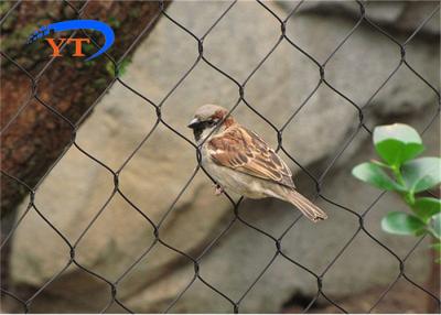中国 25mm 1.2mmの飼鳥園の金網のInoxのステンレス鋼結ばれたロープの網 販売のため