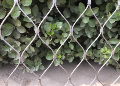 中国 SS 316の緑植物の上昇の格子垣の壁の網/1.5mmのステンレス鋼 ワイヤー ロープの網100x100mm 販売のため