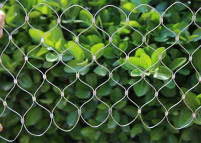 China SS304 7x7 Diamond Aviary Wire Mesh / 316 High Tensile Steel Wire Mesh for sale