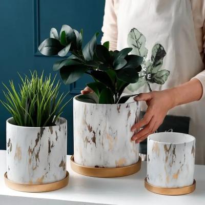 China Marbling Appearance Ceramic Flower Pots Succulent Planter Green Plants Pot Cylindrical Shape FlowerPot With Hole Golden  for sale
