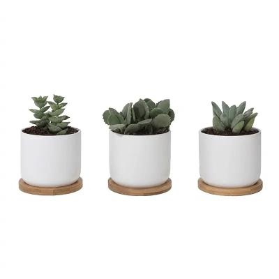 China Set of 3 Ceramic Pots for Plants 4 inch Catcus Flower Planter Drainage Hole White Ceramic Succulent Pots with Bamboo Tra for sale