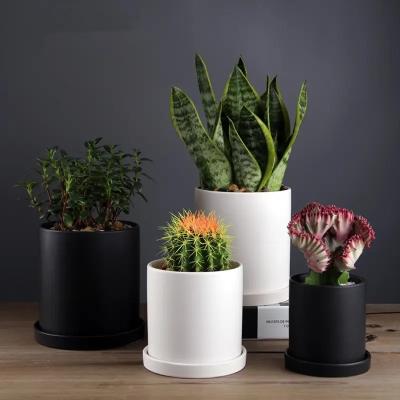 China Nordic Modern Decorative Plant Pots Ceramic Cylinder Succulent Planter Plant Flower Pot with Tray Drainage Hole for sale