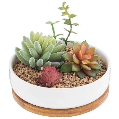 China 6.2 Inch Modern Decorative Garden Flower Pot Ceramic Pots for Succulent Cactus Plants Pot with Drainage Bamboo Tray for sale