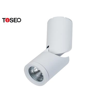 China COB 220V Ceiling Cylinder Surface Mounted Downlight For Showroom for sale