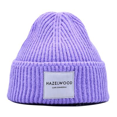 中国 Winter Fashion Multi Colored Large Slouchy Cuffed Men Knit Hat Unisex Purple Beanie Hats 販売のため