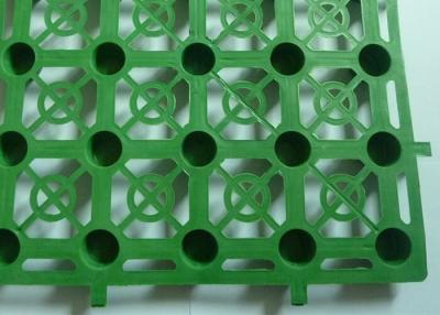 Chine Grille en plastique de machine à paver de grille d'herbe de protection d'herbe de drain de Geocomposite à vendre