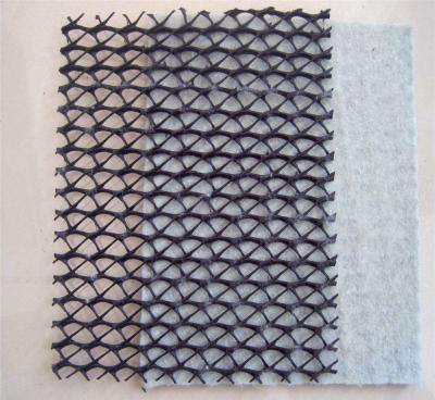China 2m Widh Black Geonet Geotextile , Lightweight Geonet Drainage For Sports Field for sale