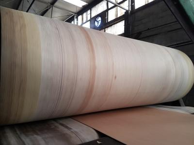 China Aramid Edge Corrugator Belt High Durability For BHS , FOSBER , MARQUIP Corrugated Line for sale
