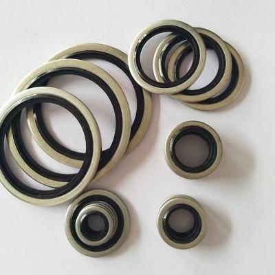 China Rubber EPDM NBR Customized Stainless Steel Metal Screw Dowty Sealing Washer for sale