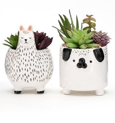 China Potes de plantas de animales de cerámica Planteadores Potes de plantas suculentas Plantas personalizadas Alpaca Cabeza de animal en venta