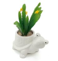 Quality Hot sale custom white stoneware succulent 3D Snail shaped flower succulent pots planter for sale