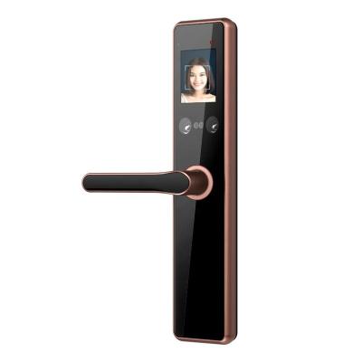 China 40mm-90mm Face Recognition Smart Lock for sale