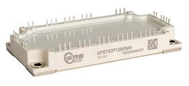 China 1200V 150A IGBT PIM Module-Solid Power-DS-SPS150P12M3M4-S04030011  V1.0 for sale