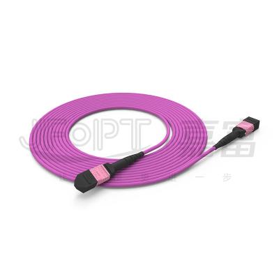 China 100G MTP Patch Cord 24 Cores Multimode OM4 50/125 LSZH 3.0-4.0mm Heather Violet Jumper for sale
