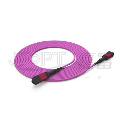 China MPO-MPO Single Tube Trunk Cable 12 Cores 2.0mm OM3 OM4 Violet Fiber Cable for sale