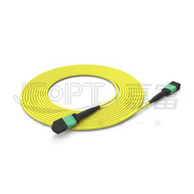 China MTP 24 Core Single Mode OS2 Polarity A OFNP UL Rated Fiber Optic Patch Cord for sale