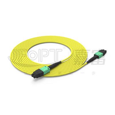 China Switchable Polarity MTP Patch Cord MTP PRO Fiber Patch Cord for sale