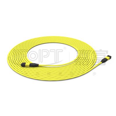 China 12-Core MPO To MPO Patch Cord Cable Terminated OS2 2.5*5.0mm LSZH for sale