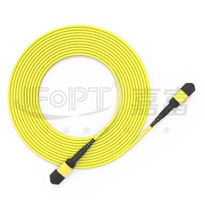 China 12-Core MPO Trunk Cable Patch Cord Single-Mode G657A1/G657A2 3.0 LSZH A/B Polarity Reversal for sale