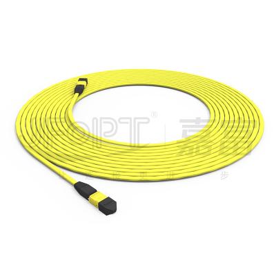China MTP-MTP 12-Core Single-Mode 9/125 G657A1/A2 Ribbon Type Trunk Cable for sale