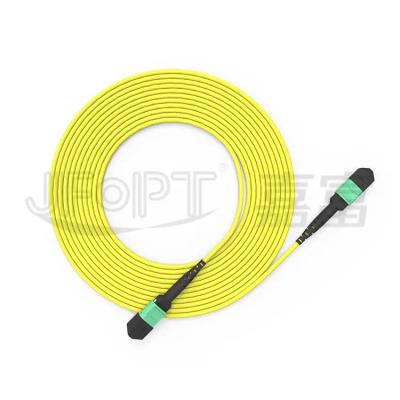 China Speed Data Transfer Made Easy with APC MTP Trunk Cable 6 Units * 24 Cores à venda