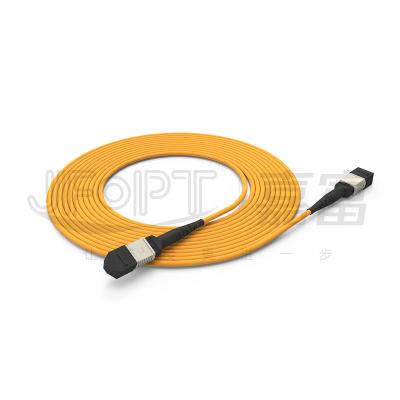 China 850nm Multimode Low Loss Ferrule MPO Trunk Cable Multi-core Fiber Optic Patch Cord for sale