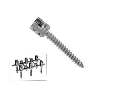 China Flexible Spine Fixation System , Break Off Spinal Pedicle Poly Axial Screw for sale