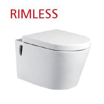 China Ada One Piece Wall Mounted Toilet Commode Elongated Home Self Cleaning Glaze for sale