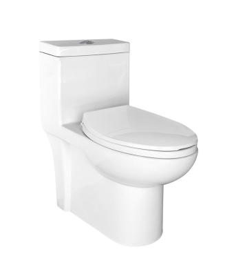 China 12 polegadas áspero no único sifão nivelado S do toalete prendem o armário de água oriental do Wc à venda